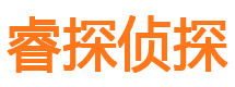 青山市私家侦探